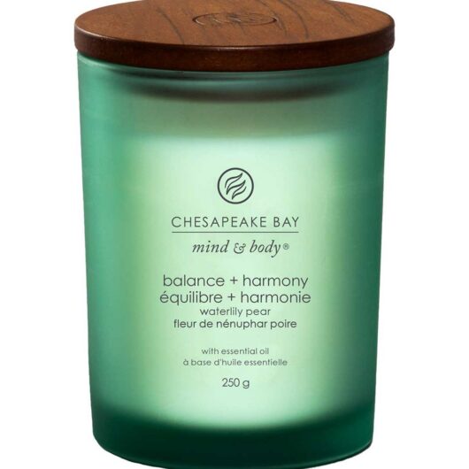 Chesapeake Bay Candle Medium Jar Balance & Harmony