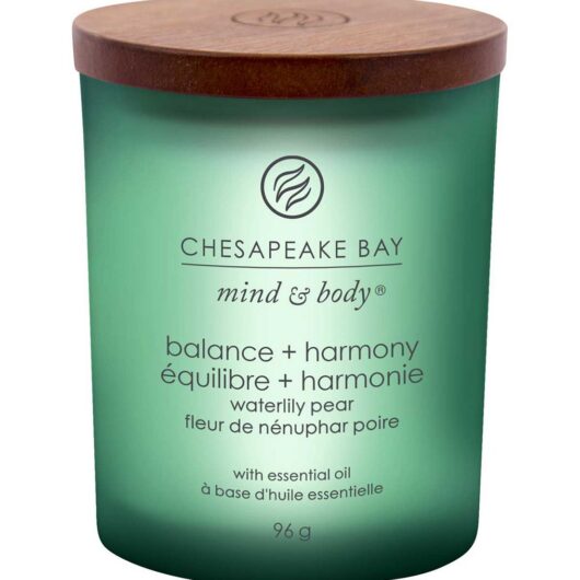 Chesapeake Bay Candle Small Jar Balance & Harmony