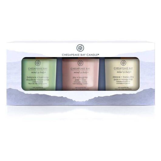 Chesapeake Bay Small Tumbler Candle Gift Set