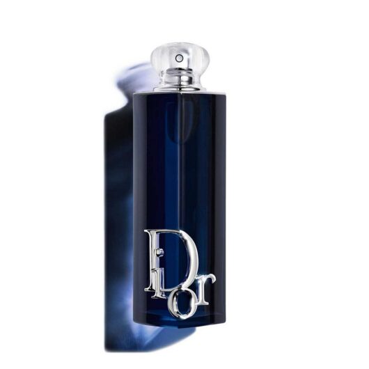 DIOR Addict Eau De Parfum Spray 100ml