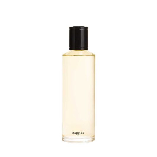 Hermes Hermès Terre D'hermès Eau De Parfum Intense Refill200 ml, 200ml