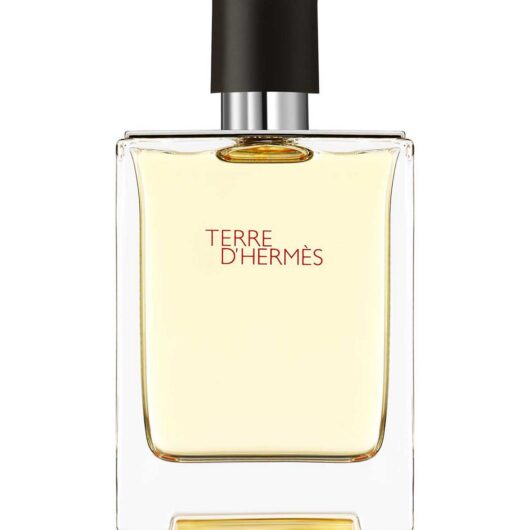 Hermes Hermès Terre D'hermès Eau De Toilette 100ml
