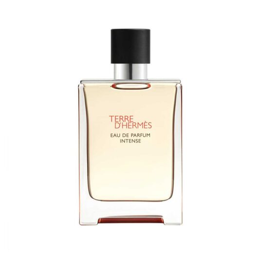 Hermes Terre D'hermès Eau De Parfum Intense 100ml