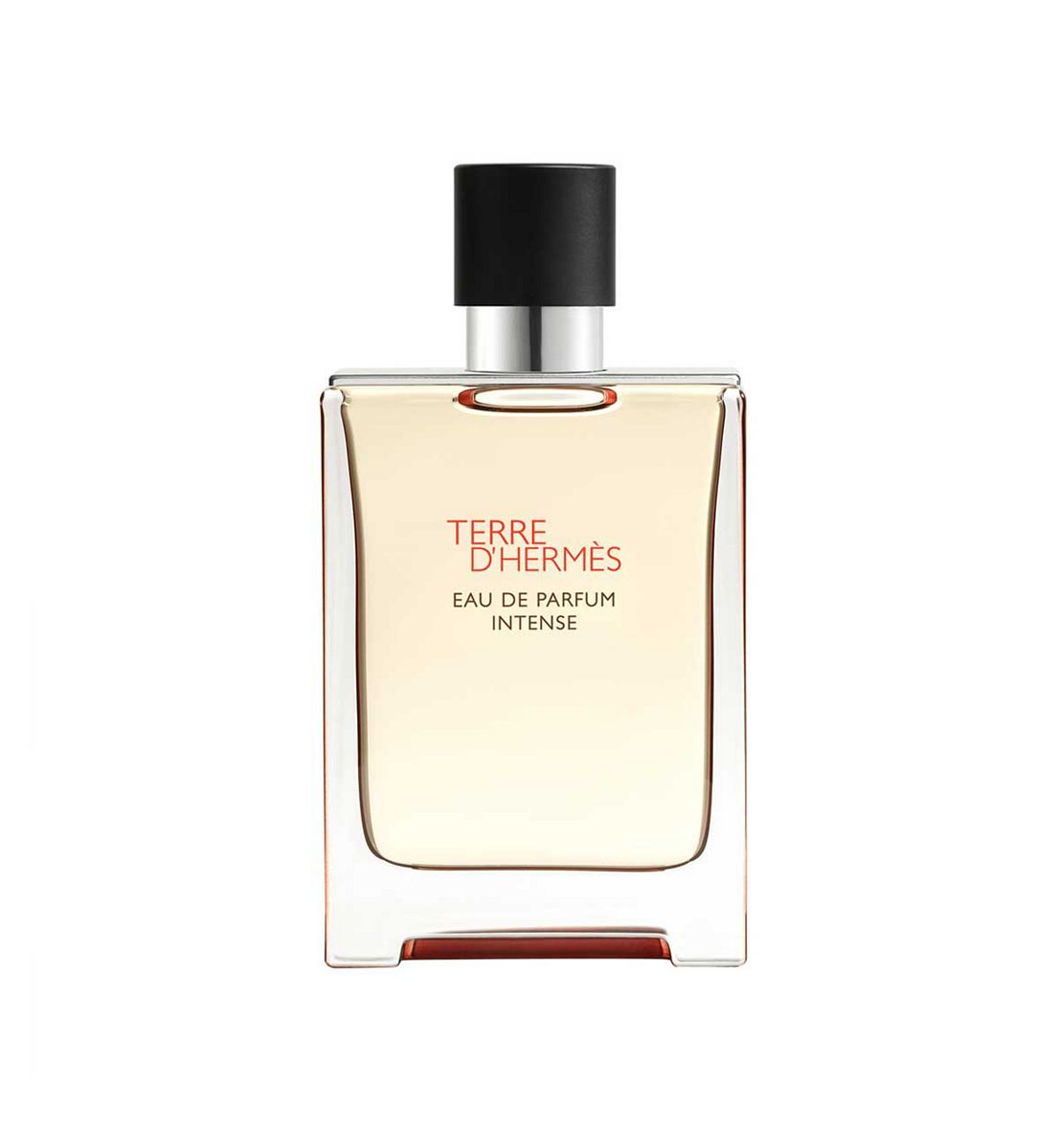 Hermes Terre D'hermès Eau De Parfum Intense 100ml